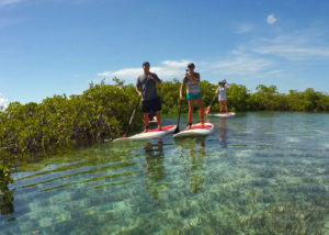 Brise de mer Luxury beach villas Turks and Caicos